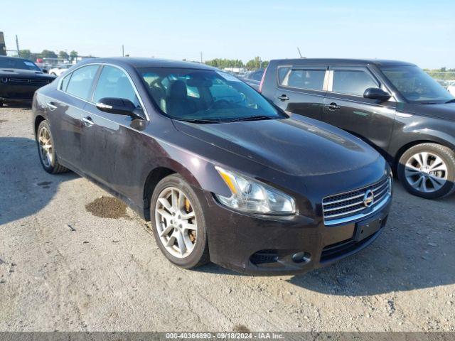  Salvage Nissan Maxima