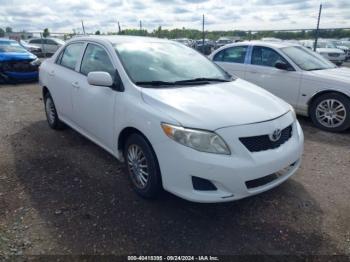  Salvage Toyota Corolla