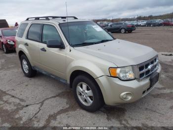  Salvage Ford Escape