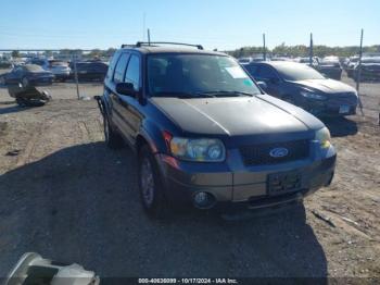  Salvage Ford Escape