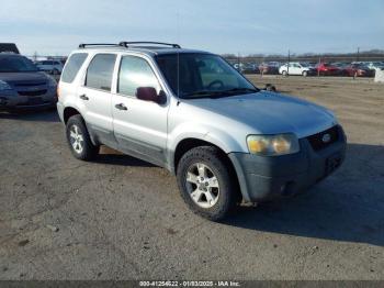  Salvage Ford Escape