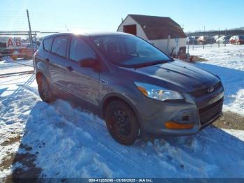  Salvage Ford Escape