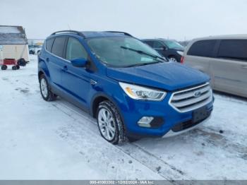  Salvage Ford Escape