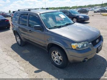  Salvage Ford Escape