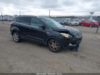  Salvage Ford Escape