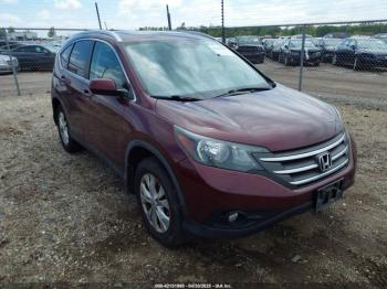  Salvage Honda CR-V