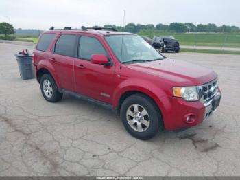  Salvage Ford Escape
