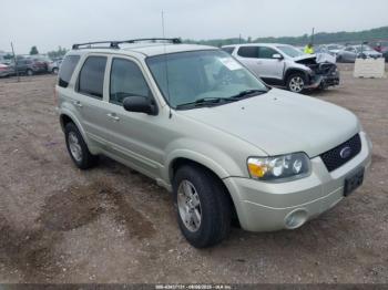  Salvage Ford Escape