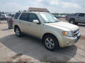  Salvage Ford Escape