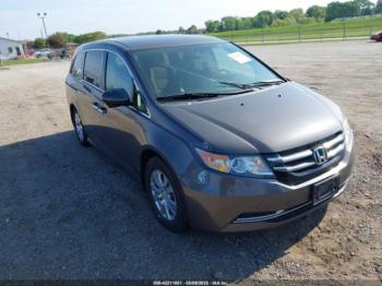  Salvage Honda Odyssey