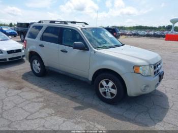  Salvage Ford Escape