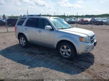  Salvage Ford Escape