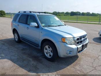  Salvage Ford Escape