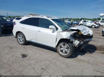  Salvage Lexus RX