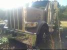Peterbilt 589 Image 6