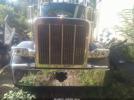 Peterbilt 589 Image 2