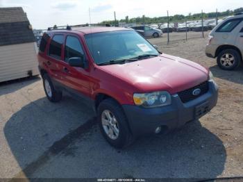  Salvage Ford Escape