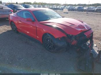  Salvage Ford Mustang