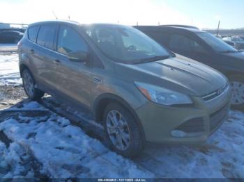  Salvage Ford Escape