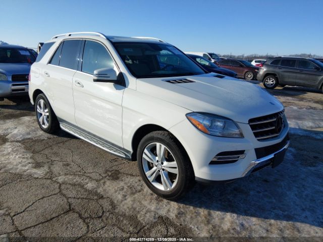 Mercedes-Benz M-Class 4matic Image 1