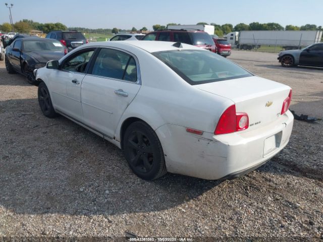 Chevrolet Malibu 1lt Image 3