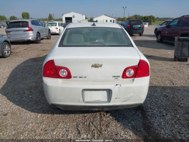 Chevrolet Malibu 1lt Image 12