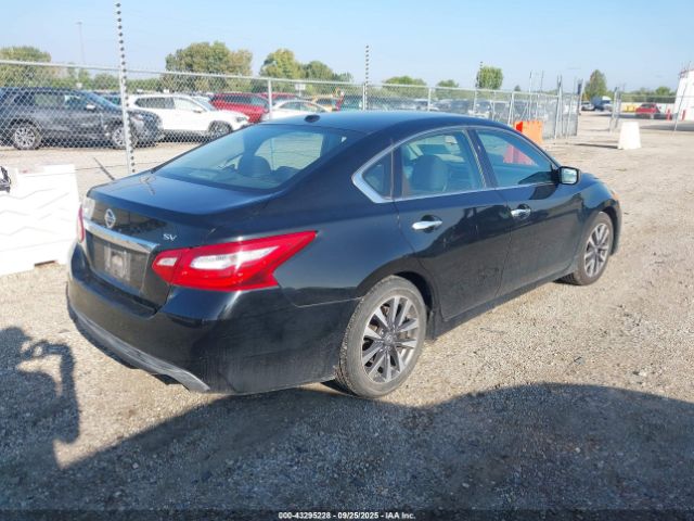 Nissan Altima 2.5 Sv Image 11